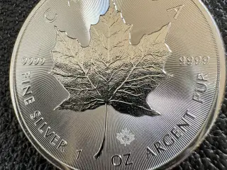 Maple Leaf 1 oz sølvmønter