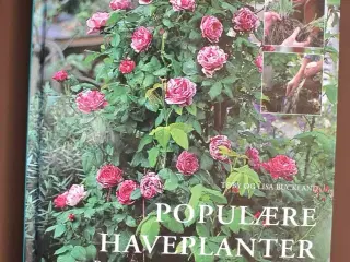 populære haveplanter - begynderens guide til en , 