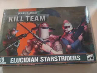 Elucidian Starstriders (I shrink)