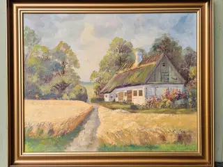 Motiv fra Skovby Als