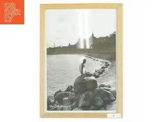 Billedramme fra Nielsen (str. 21x29,7 cm)