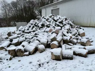 Brænde sælges ligger i 25-30cm 