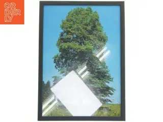 Billederamme med træmotiv fra Posterland (str. 32x44 cm)