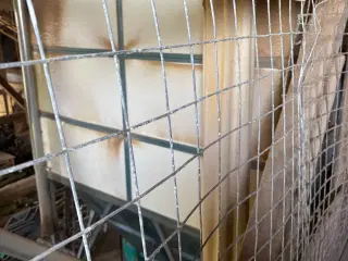 Silo til træpiller el. korn, med snegl sælges. 