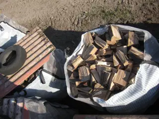 Træ