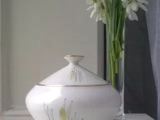 Guld på hvid form GRUNDVAND ny SØ design RETRO