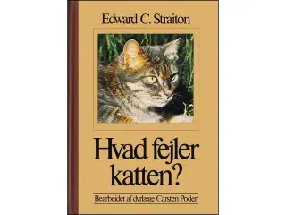 Hvad fejler Katten?