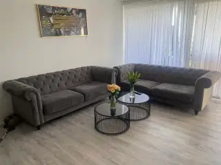 Velour sofa 