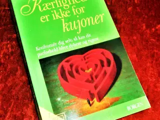 Kærlighed er ikke for kujoner, Birgit Weber,