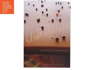 Undtagelsen af Christian Jungersen (Bog)