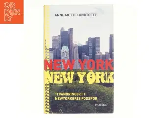 New York, New York : ti vandringer i newyorkernes fodspor af Anne Mette Lundtofte (Bog)