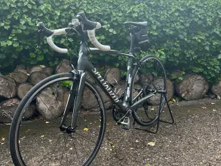 Racer Specialized cykel