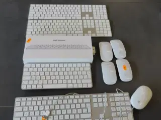 6 stk. Tastaturer samt 5 stk. mus APPLE