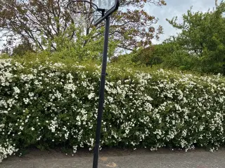 Basket stativ og kurv 