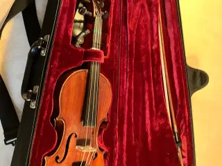 Violin 