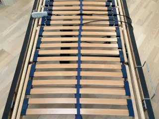 Jensen Elevationsseng