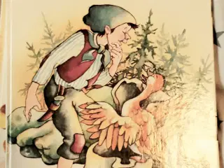 Bog 