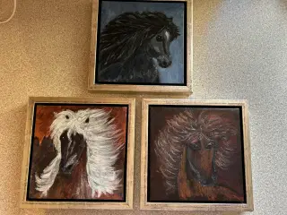 3 malerier med Islænder