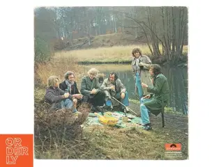 Vinylplade