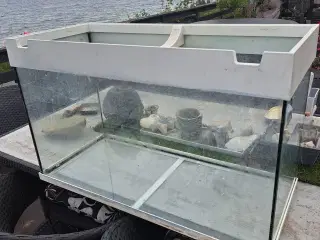 Akvarie til fisk