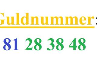Guldnummer: 81 28 38 48