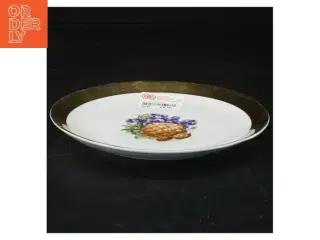 Porcelænstallerken med guldkant og nøddemotiv (str. 17 x 17 cm)
