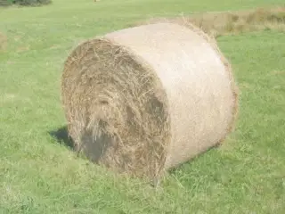 Hø i rundballer
