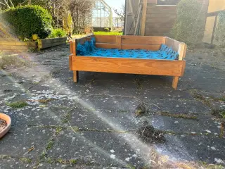 Hunde og hvalpekasse
