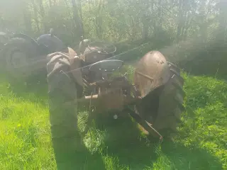  Ferguson 31
