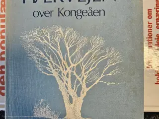 HÆRVEJEN over Kongeåen