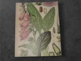 Små ark i semi-transparent, syrefrit papir til kre