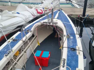 Sejlklar Yngling sejlbåd med nysynet bådtrailer