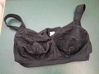 BH Plaisir 95 F