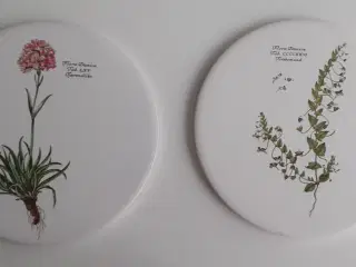 Flora Danica platter 