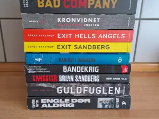 10 stk. Rocker bøger sælges samlet