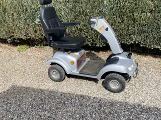 El scooter