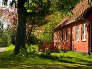 Skovløberhus i Almindingen ved Aakirkeby på Bornholm - fantastisk sommerhus midt på solskinsøen