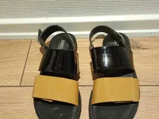 Fin