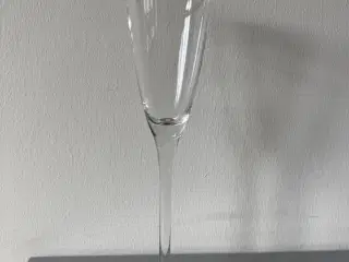 Champagneglas med sølvkant