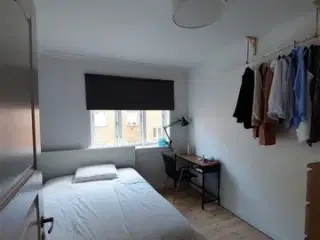 Looking for a roommate for cosy flat by Lyngby Station, Kongens Lyngby, København