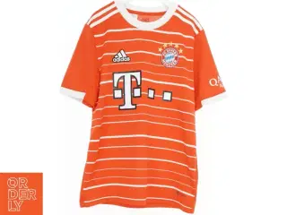 FC Bayern München spilledragt fra Adidas (str. 164)