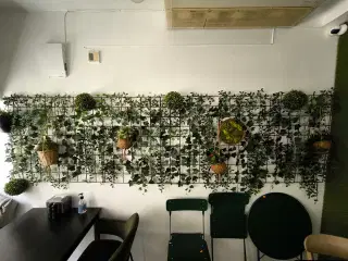 Væg med kunstige planter