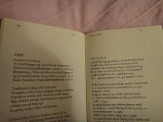 Brændevin, bjæsk og bitter - Hans Lyngby Jepsen  