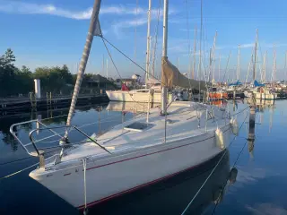 Scampi 30 sejlbåd