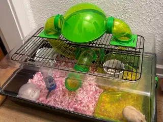 Hamster med bur 
