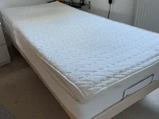Elevationsseng 