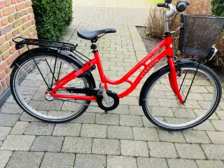 24” Everton pigecykel