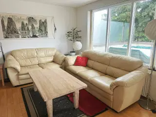 Ægte læder sofagruppe 3+2 pers. – cremet beige 