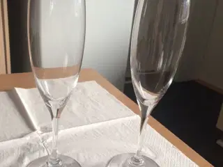 Alsace champagneglas