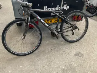 Fed cykel sælges